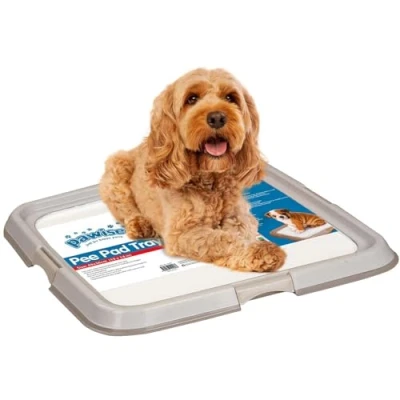 Image de Pawise Pee Support pour Chiot Idéal Dresser la propreté Pot de Chien Intérieur Puppy Essentials Dressage (L) 61 x cm