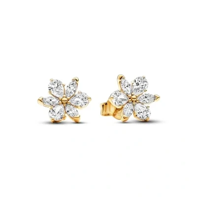 Image de Pandora Timeless Femmes Boucles d&#039;oreilles Or 262633C01