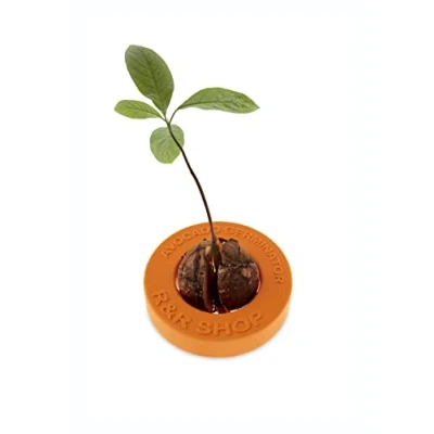 Image de R&amp;R SHOP Avocado Germinator Pot Flottant pour la Germination de l&#039;avocat, kit Croissance des graines, Plastique maïs 100% (Orange)