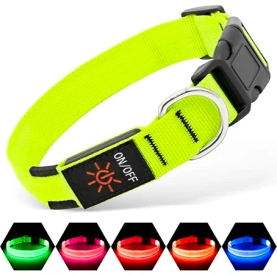 Image de Illumifun Collier de sécurité lumineux à LED rechargeable par USB pour chien petite taille (vert, petit)