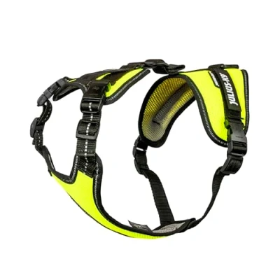 Image de Mantrailing Essential Harness, Size: XS, Neon