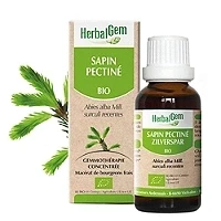 Image de Herbalgem Sapin Pectiné Bio Complément Alimentaire Extrait De Bourgeon Frais Pour Santé osseuse 30 ml