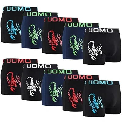 Image de L&amp;K Pack de 10 caleçons Homme Short rétro avec Un Grand Motif été 2024 Coton 1104 XXL