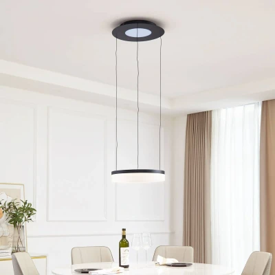 Image de Lucande Smart Suspension LED Squillo noir Tuya RGBW CCT