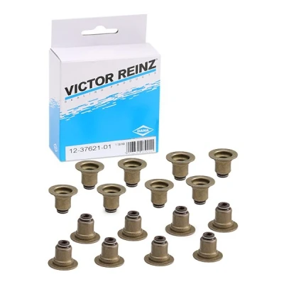 Image de REINZ 12 37621 01 Jeu de joints d&#039;étanchéité, tige soupape FPM (caoutchouc fluoré) PEUGEOT: 207 3/5 portes, RCZ Coupe, 308 I portes oscaro,