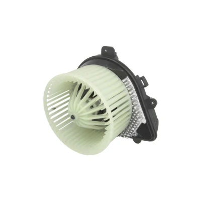Image de THERMOTEC DDP008TT Pulseur d&#039;Air pour véhicules avec système de climatisation, sans climatisation régulateur intégré