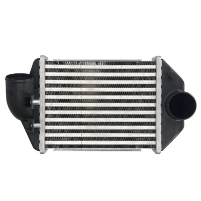 Image de THERMOTEC DAA028TT Intercooler AUDI: A4 B5 Berline, A6 C5 Avant, Avant
