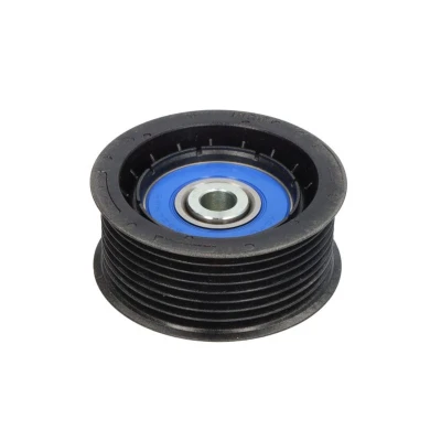 Image de DAYCO APV1119 Galet Enrouleur SCANIA: P,G,R,T series