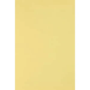 Image de Netuno 10x carton jaune clair 250g papier décoratif A3 297x420mm Burano Giallo idéal pour cartes de voeux scrapbooking bricolage invitations art et artisanat anniversaire DIY loisirs créatifs