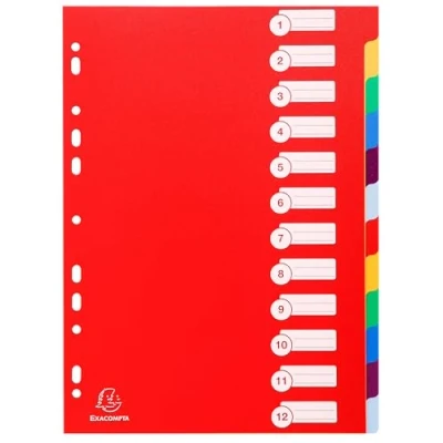 Image de Exacompta Réf. 4912E Carton de 15 Intercalaires polypropylène rigide opaques avec 12 onglets neutres Premier index imprimé Format à classer A4 Couleurs vives assorties