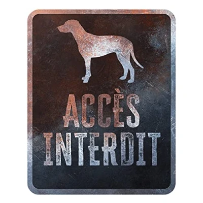 Image de D&amp;D Home, Panneau d&#039;avertissement Attention au Chien, 25x20x0,3 cm, Version française, Fond Noir, en métal résistant à la Rouille avec Un Texte Amusant