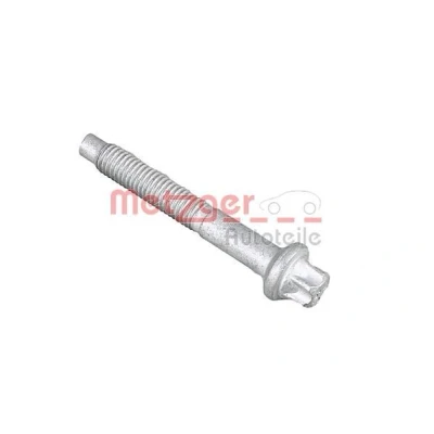 Image de METZGER 0871022S Vis, support pour contrôleur d&#039;injecteurs PEUGEOT: 207 SW, 308 II 3/5 portes, I CC, CITROËN: C4 Picasso 1, DS3 3 portes