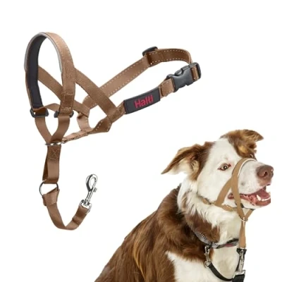 Image de Licol HALTI pour Que Votre Chien arrête de Tirer sur sa Laisse, Partie entièrement matelassée Le museau, Colliers Anti Traction Chiens Taille Moyenne (Taille 2, Sable du Désert)