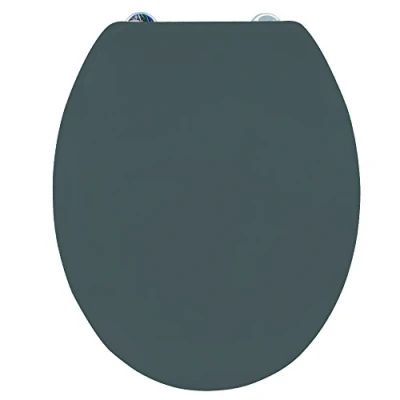 Image de MSV Abattant WC Thermo Dur Gris Anthracite Charnières Inox