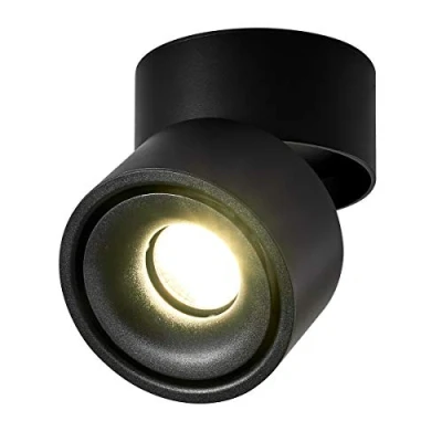 Image de Dr.lazy 10W LED spots de plafond Plafonnier, lampe, Plafond, Applique orientables, éclairage LED,10x10x10cm (Noir 4000K)