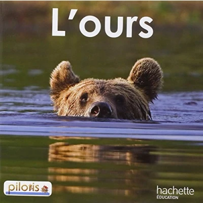 Image de Lecture CP Collection Pilotis Album 2 L&#039;Ours Edition 2013 Livre d’occasion Correct