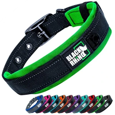 Image de Black Rhino The Comfort Collar Collier pour Chien de Toute Race Rembourré en néoprène Ultra Doux Robuste, réglable, réfléchissant et résistant aux intempéries (S, Vert/Noir)