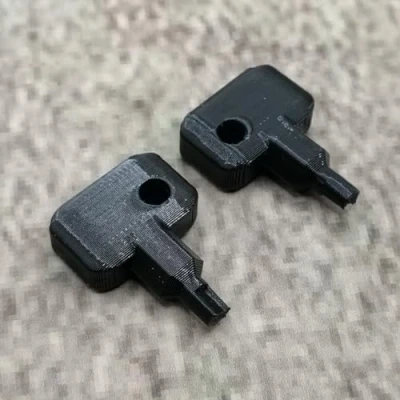 Image de ULEIVA Lot de 2 clés rechange noires compatibles avec Synology NAS Drive Bay Key Lock pour type D5 D6 D8 D9 R6 X9 R8 DS181 (noir)