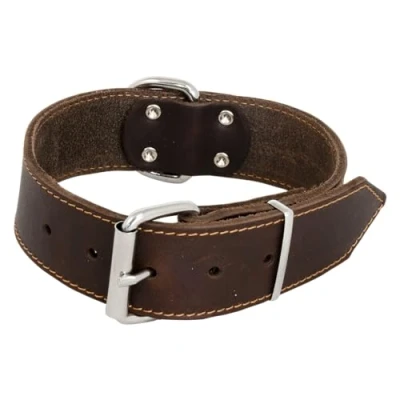 Image de JACK AND VANILLA, Collier Large pour Chien, Modèle Cuir Gras, Couleur Brun, Taille 30 mm x 45 cm