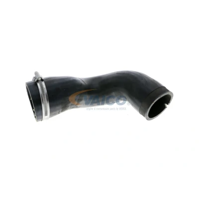 Image de VAICO V40 1174 Gaine De Suralimentation Q+, Première Monte OPEL: Vectra C CC, Berline