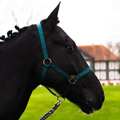 Image de licol pour cheval, sang chaud, froid, d&#039;écurie, de pâturage, 2 positions réglables au niveau la mentonnière et têtière, sûr indéchirable (sapin, demi