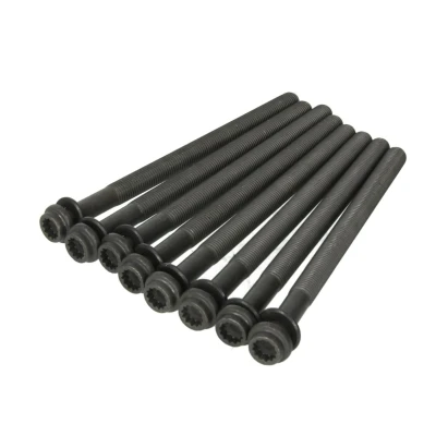 Image de REINZ 14 32324 01 Jeu De Vis Culasse Polygone intérieur AUDI: Q5, A7 Sportback, Q7, PORSCHE: Cayenne, Macan, VOLKSWAGEN: Amarok Pick up, Touareg II