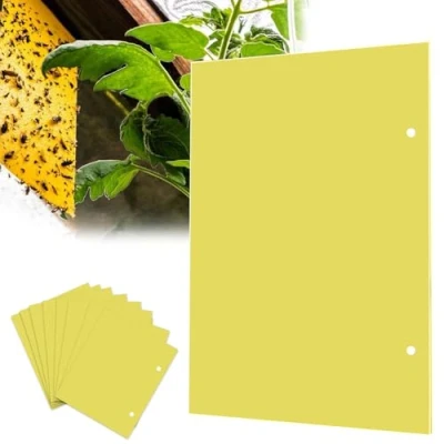 Image de Pieges Collants Double Face, 20PCS Pièges à Insectes, pour Moustiques, Pucerons,Nématodes,Chenilles,Aleurodes, Jaune Papier Anti Insecte, 30 x 25 CM
