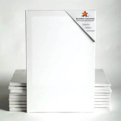 Image de Art Star 10x Chassis ENTOILÉ UNIVERSITÉ 24x30 cm Toiles sur châssis Toile préimprégnée, prêts à Peindre, avec