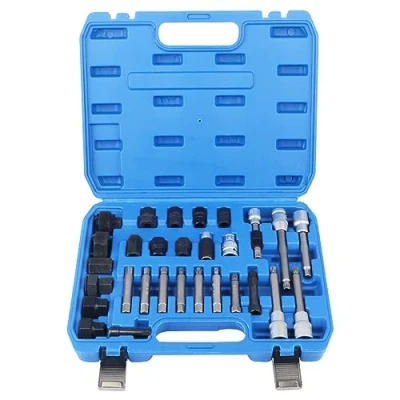 Image de DAYUAN Kit de remplacement 30 pièces d&#039;alternateur roue libre poulie blocage