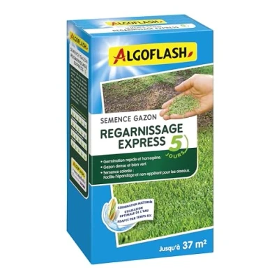 Image de Algoflash Semence Gazon Regarnissage Express 5 jours 800 g