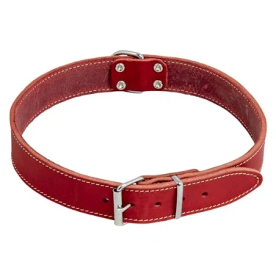 Image de JACK AND VANILLA, Collier pour Chien, Modèle Cuir Gras, Couleur Rouge, Taille 18 mm x 45 cm