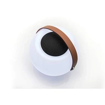Image de Dual BTP 2 Haut Parleur Bluetooth Portable avec Effet de lumière, Blanc