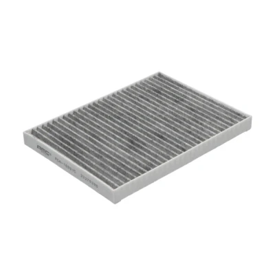 Image de KAVO PARTS FCA 10031C Filtre d&#039;habitacle à charbon actif 251mm 180mm 20mm TESLA: Model S