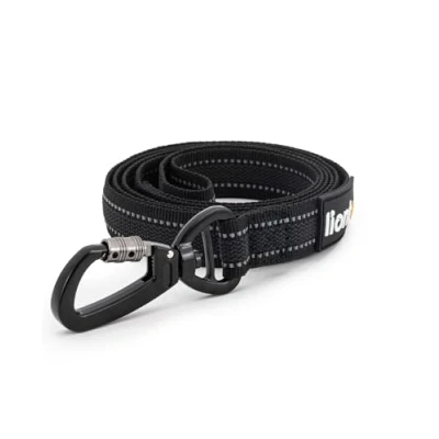 Image de lionto laisse pour chien, 170 cm, caoutchoutée avec dragonne et mousqueton en métal à 360 fermeture de sécurité, réfléchissante nylon robuste résistant aux intempéries, noire