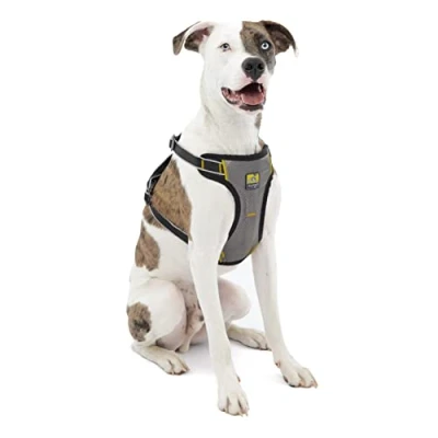 Image de Kurgo K01607 Harnais de Sécurité pour la Voiture Universel avec Anneaux Intégrés Convient Chien Grande Taille Ajustable Gris Charbon L