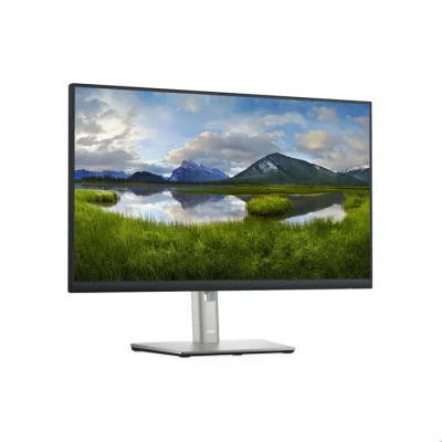 Image de DELL P Series Écran 24 P2422H Neuf