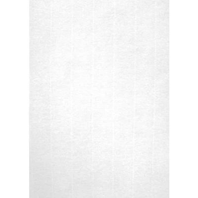 Image de Apli 012368 Pack de 100 Feuilles papier A4 g Vergé Blanc