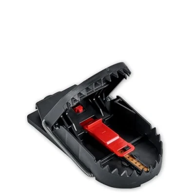 Image de SWISSINNO Piège à Rat Pro SuperCat, Certifié pour Le Respect du Bien être des Animaux et Une Capture sans failles. Réutilisable, Intérieure + Extérieur. Fabriqué en UE. x1