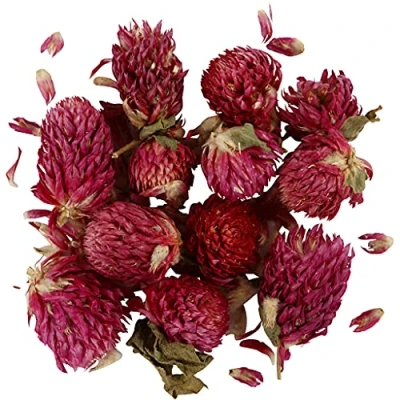 Image de Fleurs séchées Trèfle rouge 15 g