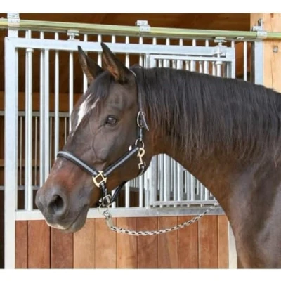 Image de Kerbl Mixte Halfter 2 fach Verstellbar Mustang Licol pour Cheval Noir Argent Taille 3, Noir/Argent, 3 EU