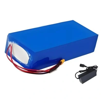 Image de GNIUBBDB Batterie Lithium ION 72 V 30 Ah 20S4P pour vélo électrique avec Chargeur, Protection BMS intégrée, idéale Moteur de 200 1000 W XT90 Plug