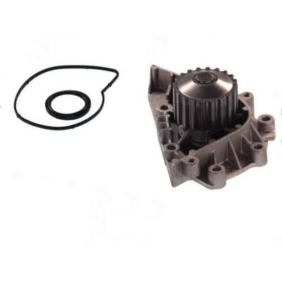 Image de THERMOTEC D1P042TT Pompe à eau 20 avec joint d&#039;étanchéite mécanique 59,3 PEUGEOT: 206 3/5 portes, 307 406 Berline, CITROËN: Xsara Picasso