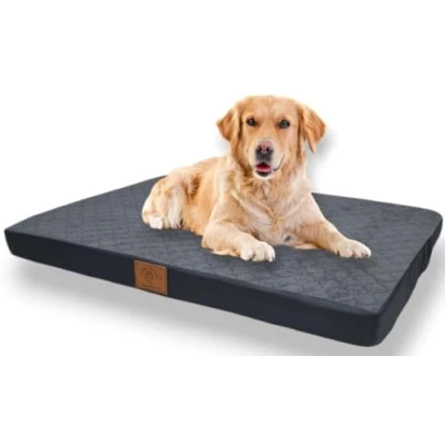 Image de Odolplusz Lit orthopédique pour chiens de grande taille Coussin moyenne et Matelas avec housse lavable Graphite, 80 x 60 7 cm
