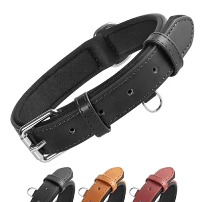 Image de Grand Line Collier de Chien Ajustable Coussin Moelleux Cuir Rembourré avec Perforatrice 3 Couleur 4 Tailles, Noir(L)