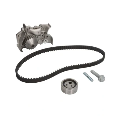 Image de INA 530 0191 30 pompe à eau + Kit De Distribution avec RENAULT: Kangoo I, I Express, MEGANE 1