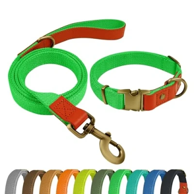 Image de Qianruida Collier Chien Tactique Laisse Ensemble Kit pour Chiens Moyens et Grands Vert Fluo,XL