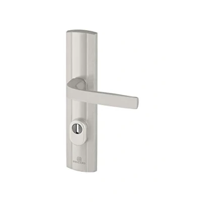 Image de Bricard 9910171 Ensemble de Poignées Blindées sur Plaque EXPRESSION Béquille + pour Porte d’entrée (pour Cylindre Européen), coloris Argent