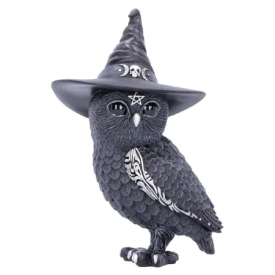 Image de Nemesis Now Owlocen Figurine de Chouette Occulte Cadeau pour Fan et Passionné Qualité Supérieure Noir 13,5 CM Fabriqué en Résine sous Licence Officiel
