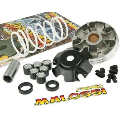 Image de variomatik MALOSSI Multivar 2000 pour Gilera Runner 50 cc, Stalker, Storm, Typhoon x, Piaggio DIESIS