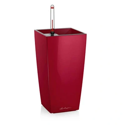 Image de Lechuza Pot de Fleurs d&#039;Interieur MaxiCubi Réserve d&#039;Eau Intégrée Coloris Rouge Scarlet 14 x 26 cm